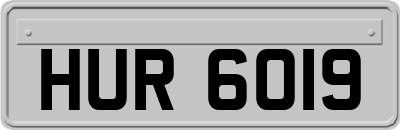 HUR6019