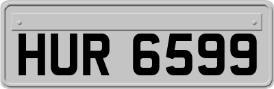 HUR6599