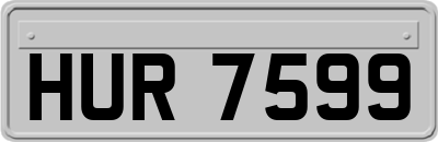 HUR7599