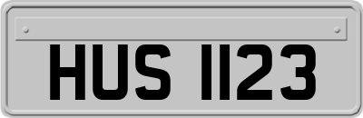 HUS1123