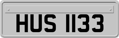 HUS1133