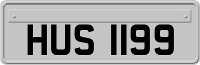 HUS1199