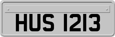 HUS1213