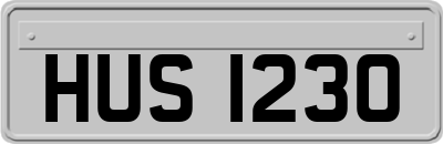 HUS1230