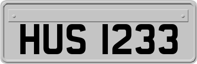 HUS1233