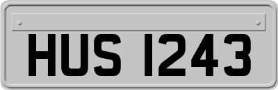 HUS1243