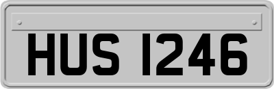 HUS1246