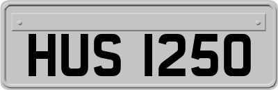 HUS1250