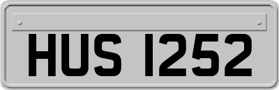 HUS1252