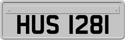 HUS1281