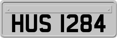 HUS1284