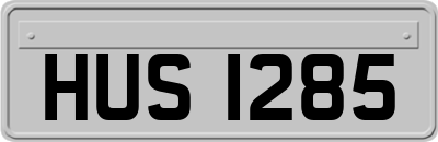 HUS1285