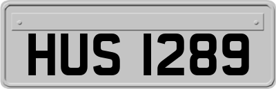 HUS1289