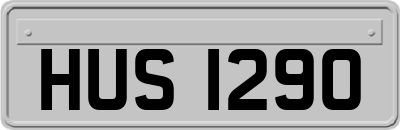 HUS1290