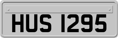 HUS1295