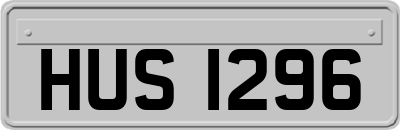 HUS1296