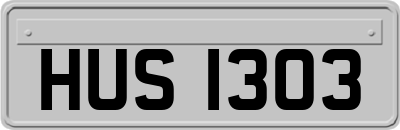 HUS1303