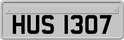 HUS1307