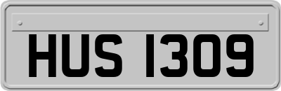 HUS1309