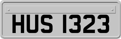 HUS1323