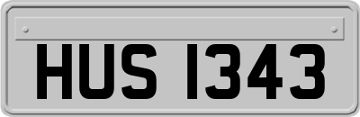 HUS1343