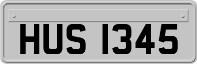 HUS1345