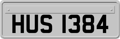 HUS1384