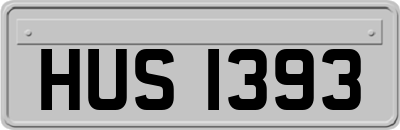 HUS1393