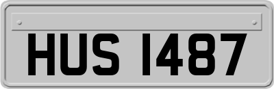 HUS1487