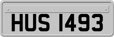 HUS1493