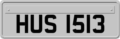 HUS1513