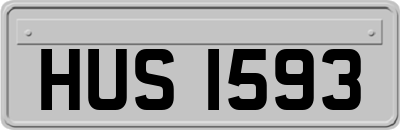 HUS1593