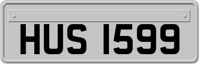 HUS1599