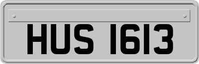 HUS1613