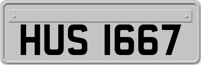 HUS1667