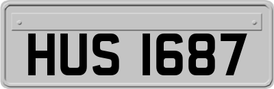 HUS1687