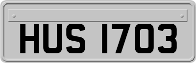 HUS1703