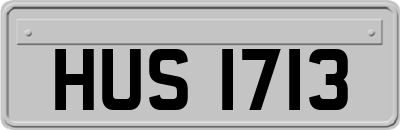 HUS1713