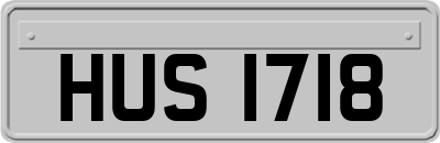 HUS1718