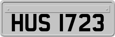 HUS1723