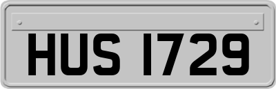 HUS1729