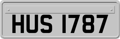 HUS1787