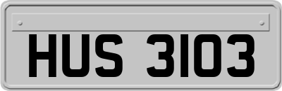 HUS3103