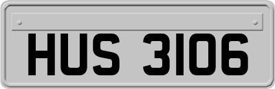 HUS3106