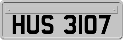 HUS3107