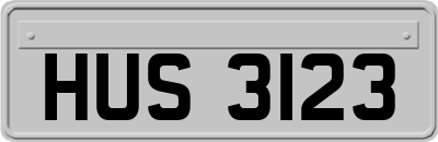 HUS3123