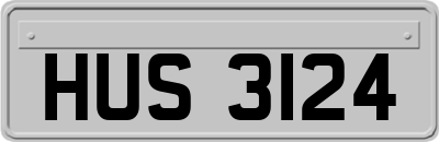 HUS3124