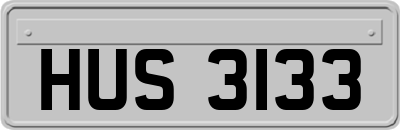 HUS3133