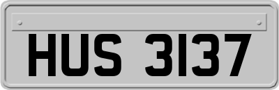 HUS3137