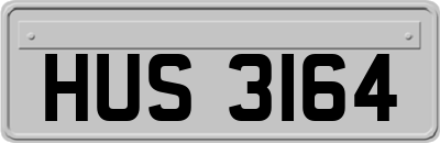 HUS3164